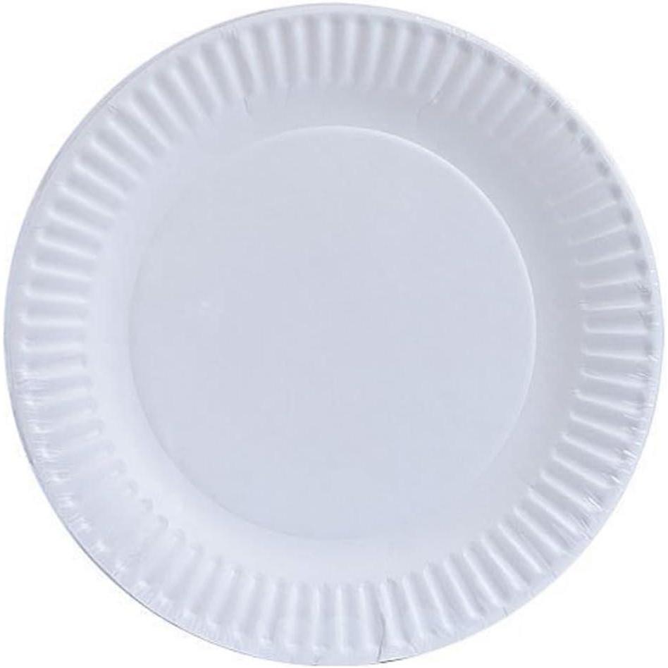 Nicole Home Collection Everyday Dinnerware Paper Plate, 9-Inch (100 count)(9 Inch – 60 Count)