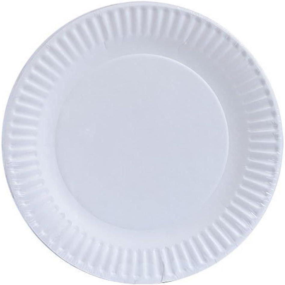 Nicole Home Collection Everyday Dinnerware Paper Plate, 9-Inch (100 count)(9 Inch – 100 Count)